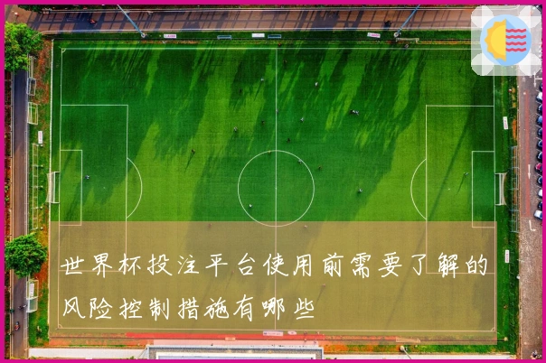 世界杯投注平台使用前需要了解的风险控制措施有哪些