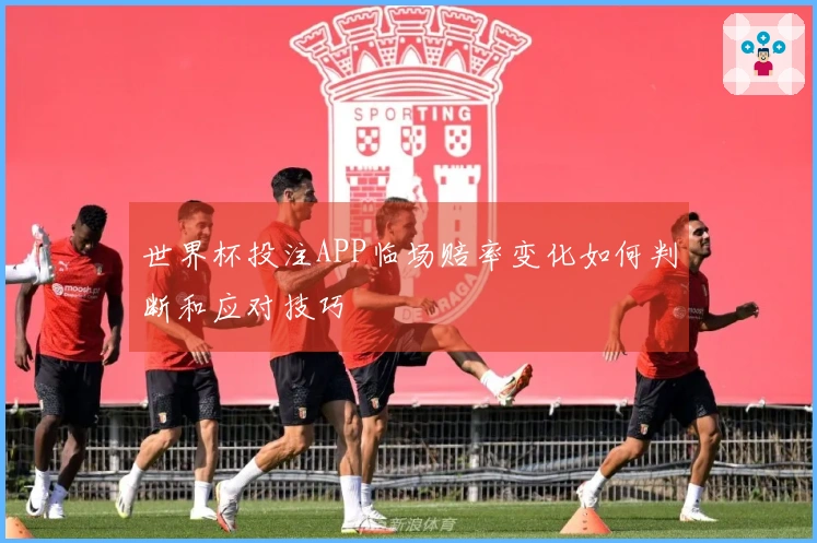 世界杯投注APP临场赔率变化如何判断和应对技巧